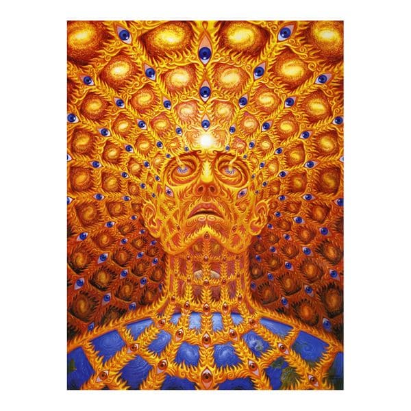 Trippy Alex Grey Painting Poster Print Home Decor Framed Or Unframed Photopaper Material