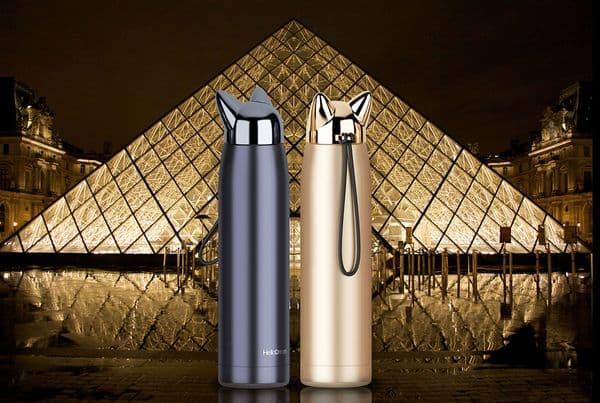 Double Wall Thermos Bottle Stainless Steel Vacuum Flasks Shining Cute Cat Fox Ear Thermal Coffee Tea Milk Travel Mug 320ml