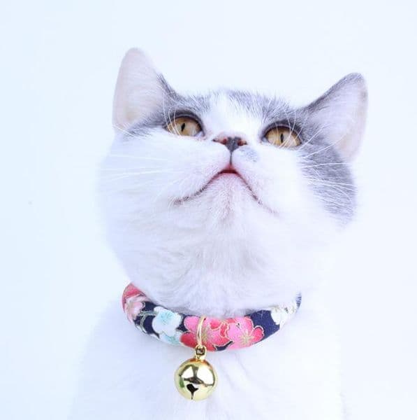 Cat Collar Bell Adjustable Collars with Bell for Cats Handmade Bells Collars Kitten Necktie Necklace Pet Cat Accessories 4 sizes