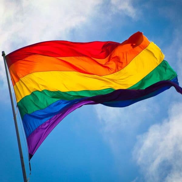 100Pcs Rainbow Flag 3x5FT 90x150cm Lesbian Gay Pride Polyester LGBT Flag Banner Polyester Colorful Rainbow Flag For Decoration LX2669