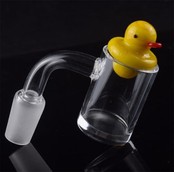 5mm Bottom XL XXL Flat Top 10mm 14mm 18mm male female Quartz Banger Nail With Cactus Duck Carb Cap for Glass Water Pipes