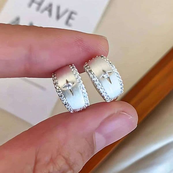 Sam Panda 925 Sterling Silver Star Zircon Earrings for Women Frosting Classic Elegant Fresh Austere Jewelry Gift Dropshipping