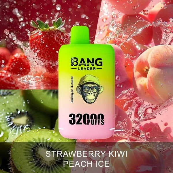 Bang Leader 32000 2 IN 1 EU warehouse 650mah TYPE C