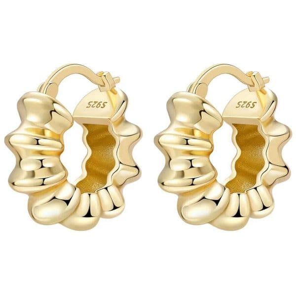 925 Sterling Silver Gold Temperament Versatile Hoop Earrings For Women Jewelry Birthday Party Gifts