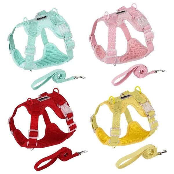 Colorful Lightweight Dog Harness for Small Breeds -Dopamine Style Breathable No-Pull Pet Vest with Leash Comfortable Outdoor Use