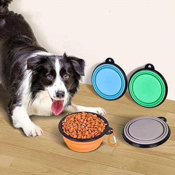 1/2PCS Portable Silicone Dog Cat with Climbing Buckle Outdoor Foldable Pet Bowl for Dogs And Cats 26H0110