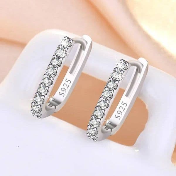 Gift High-quality 925 Sterling Silver Crystal Fashion Circle Hoop Earrings for Woman Wedding Party Gift Street Versatile Jewelry