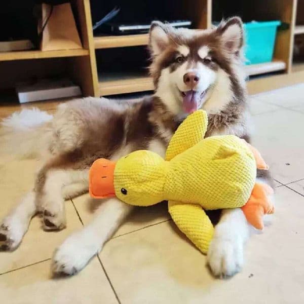 Stomping Duck Bite Resistant Grinding Teeth Cleaning Large Dog Interactive Entertainment Puppy Boredom Pet Plush Toy 26H0122