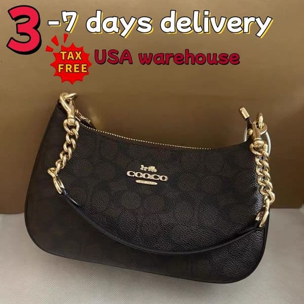 Soft Chain Bag Women Tabby Bag Brown Fashion Teri Shoulder Bag Designer Teri Bag Handbag Underarm Bag Classic Women Wallet Purse Teri Hobo Bag