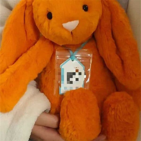 Anniversary Limited Edition Orange Bonnie Rabbit 31CM 80% Off Special Offer