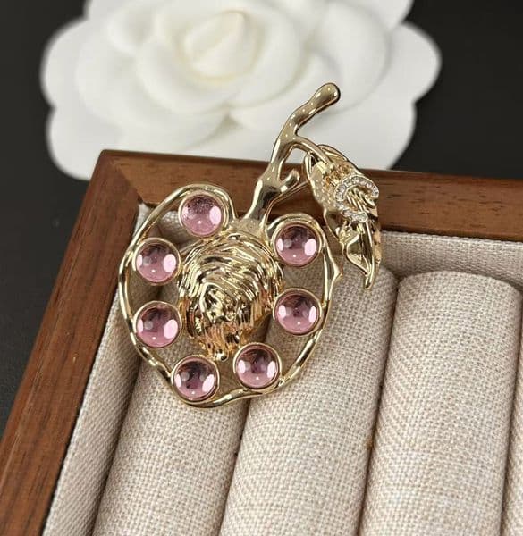 Designer Brooch Fashion C Pins Luxury Pearl and Diamond Brooch Women's Jewelry Metal Pin Ccity dsfs