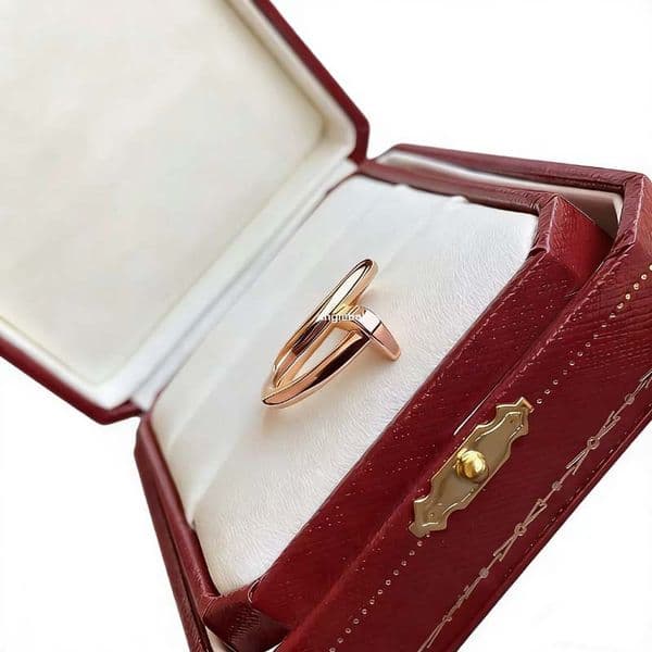 New Cool Fashion Designer Rings Jewelry Sterling Silver Classic Mens and Womens Lovers Nail Ring