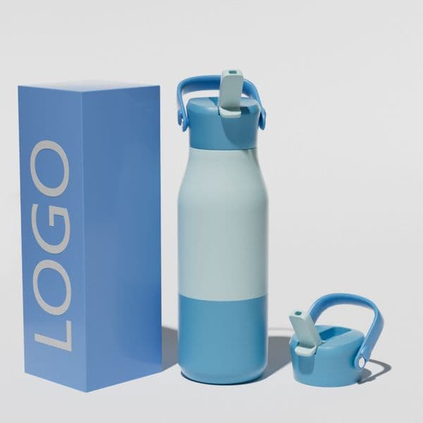 304 Stainless Steel Insulated Water Bottle with Detachable Handle