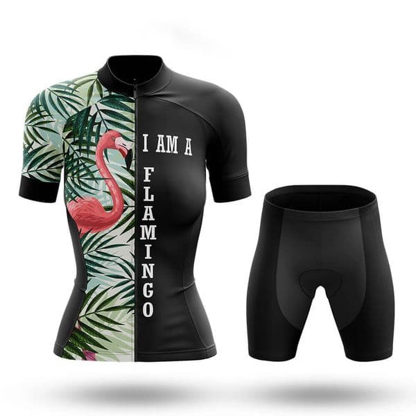 Flamingo V4 Cycling Jersey Womens Set Breathable Biking Outfit Quick-Dry Bib Bicycle Jersey with 19D Padded Shorts
