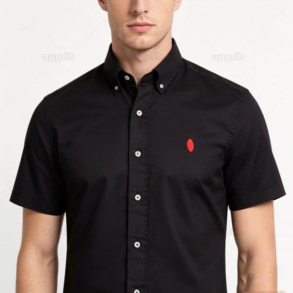 RL Shirts Mens Designer Tshirts Summer Horse Embroidery Polos Shirt Tops Tees Casual Streetwear Solid Color Blouse Business Leisure Oxford Textile But L27S#