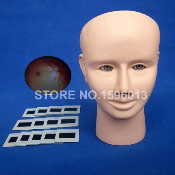 Ocular Inspection Simulator Retinopathy Examination Teaching Model,Eye Inspection Training Simulator Phantom