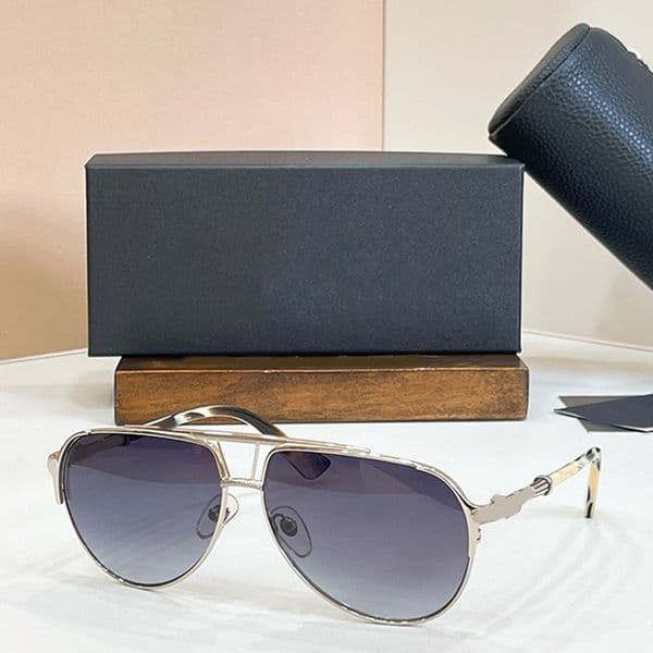 Fashionable double beam male glasses for daily travel outdoor leisure sunglasses for lady PAINAL classic designer pilot eyeglass gray gradient lenses silver frame