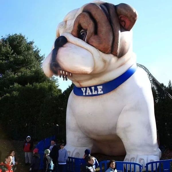 Lifelike Inflatable Bulldog Giant Dog Mascot Balloon for Zoo Advertising