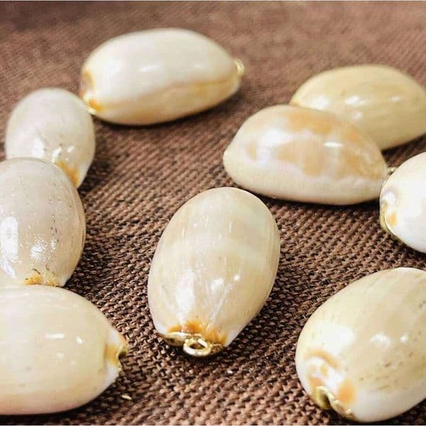 10pcs/pack Natural White Shell Gold Color Wrapped Pendant Charms for Jewelry Making DIY Necklace Earrings Accessories Wholesale