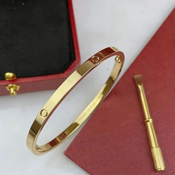 Women Luxury Designer Bracelet Bangle Gold Plated Bracelets with Screwdriver 6mm Wide Size 16-19 Womens Bangles Jewelry