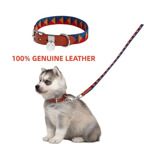 2026 Designer Luxury Elegant Genuine Leather Dog Collar Luxury Pet Collar With Gift Box For Small Medium Dogs 10A Wholesale