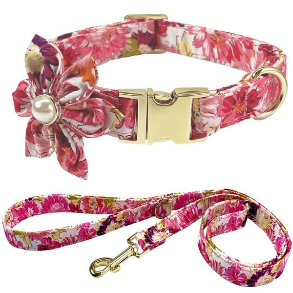 Floral Neckband Engraved Pet Collar Dog Cat Metal Dog Walk Leash Set Lovely Pattern, for Birthday Gift Couple Walk Sisters Shopping Non-Shedding Lightweight