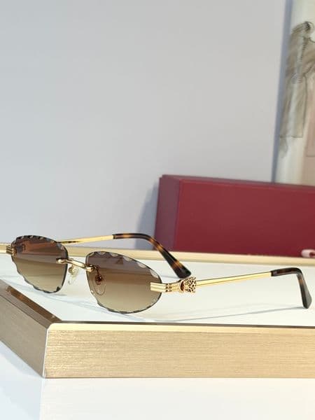 Luxury Designers Womens Sunglasses For Women Men Sun Glasses Mens 0652S Designer Fashion Style Protects Eyes Random Box 11