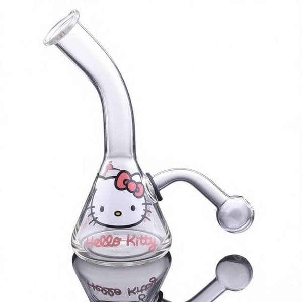 USA Popular MINI Travel Hookah Beaker Glass Oil burner Bong pipes catcher thick heady water tobacco bongs pipe for smoking with Removable banger bowl