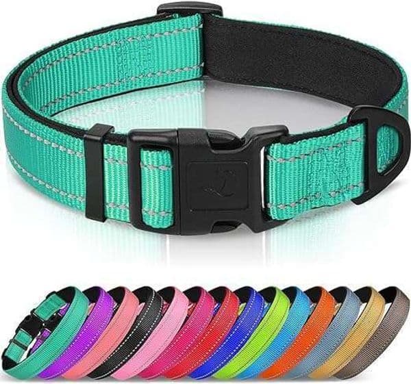 Reflective dog collar, soft neoprene pad, metal D-ring, nylon pet collar adjustable, suitable for large dogs