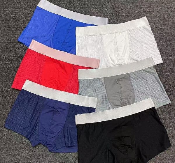Summer Luxury Designer Breathable Mesh Underwear Boxers For Men Brands Casual Pure Cotton Briefs Shorts