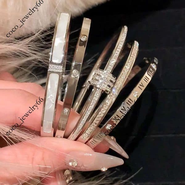 NO box Fashion Luxury Jewelry Bangle Diamond bangles Nail Bracelets for Men Women screw Bracelet Rose Gold Silver Titanium Steel