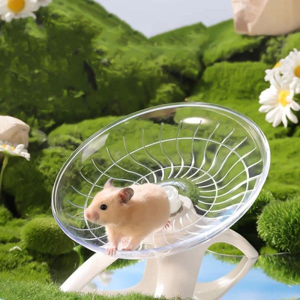 Silent Running Exercise Wheel Super Quiet Safe Running Wheel for Hamster Mouse Hedgehog Parrot Small Pet Daily Fitness Training Supplies