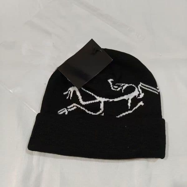 Beanie designer beanie skull cap bonnet luxe winter hat beanie hat bonnet homme Beanies Designer Wool Hats Beanies Skull Hat Ski Brand Bonnet SSS