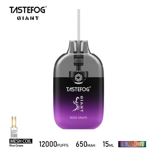 12000 Puffs Vape Kit Tastefog Giant 2% 15ml 650mAh Mesh Coil Big Cloud Disposable Vape 12 Flavors Promotional Price
