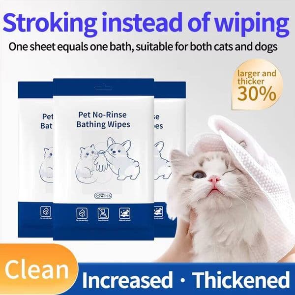 Multifunctional Popular Deodorizing Pet Glove Wipes Suitable for Cats with Sensitive Skin