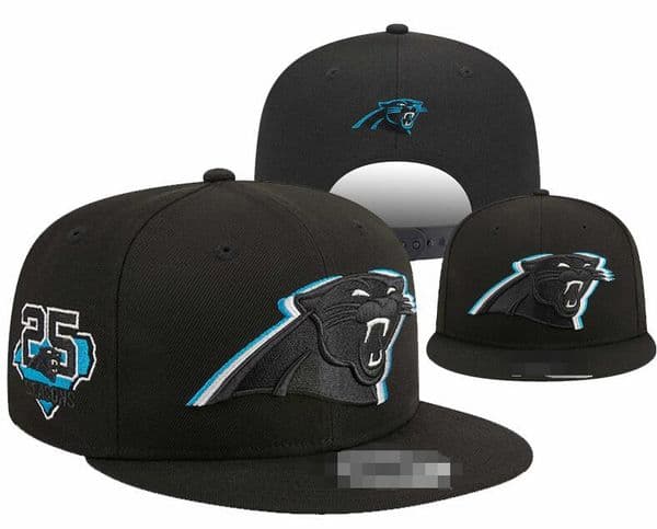 Designer Baseball Hat Panthers super bowl Men and Women chamnpions Fashion Ball Bonnet Brand Embroidery Beach Casual Outdoor Cap Bucket Beanie a18