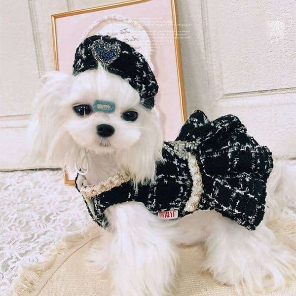 Autumn Winter Luxury Pet Clothing Plush Warm Princess Malzis Yorkshire Puppy Rhinestone Dress Female Dogs Clothes Berets 26H0227