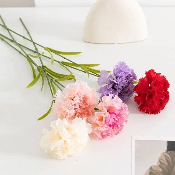 Bestseller 1/5/10pcs 60cm White Simulation Flowers Single Head Large Carnation Silk Cloth Fake Flower Home Decoration Arrangement ddmytues