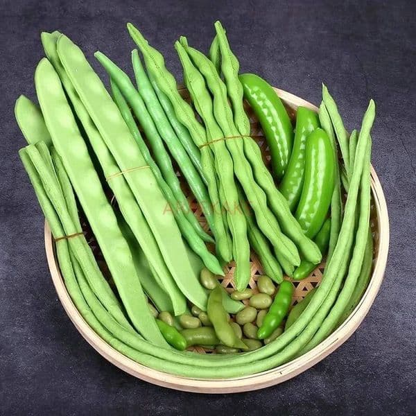Bestseller Fake Vegetable Props, 1set Simulated and Lentil Bean Model, Long Bean,Playing with Teaching Aids, Shooting ddmytues