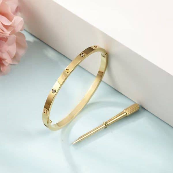 Women Luxury Designer Bracelet 4mm Bangle Gold Plated Bracelets with Screwdriver Size 16-19 Womens Bangles Jewelry