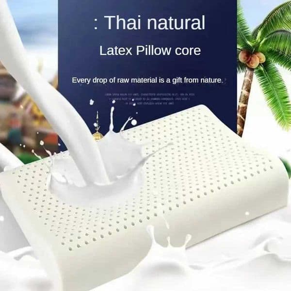 Thailand Natural Latex Pillow Adult Pillow Core Massage Pillow Core Gift Childrens Latex Manufacturer Wholesale W240902