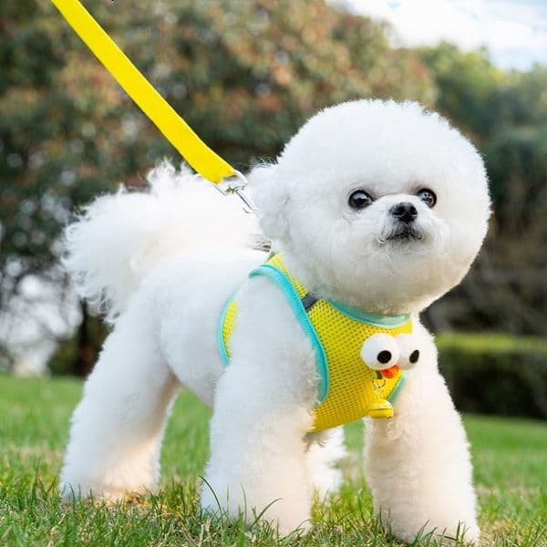 Summer Light Breathable Leash for Cat dog Spring Anti-breaking Cute Animal Harness for Kittens Collar for Pet cat accessories
