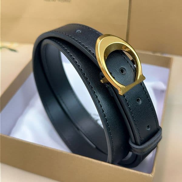 Fashion belt brand gold sier buckle cintura belts for women designer cinture width 2.5cm with box gift high quality
