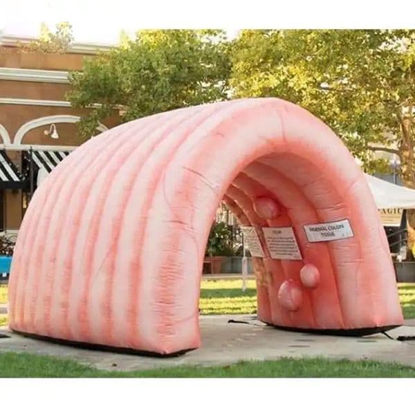free shipping High Quality Giant Inflatable Colon For Medical Teaching Use Custom Inflatable Intestine Organ Tunnel Tent