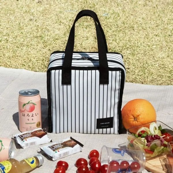 Thermal Insulated Picnic Bags Handbag Outdoor Storage Waterproof Keep Fresh Insulated Lunch Bag Cooler Portable Home 240828