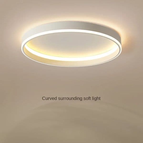 Nordic new Round Led Ceiling Lamp In&Out-Side Lights for Bedroom Loft Balcony Track Light Home Decor Luster Indoor 2025 Lighting Fixture