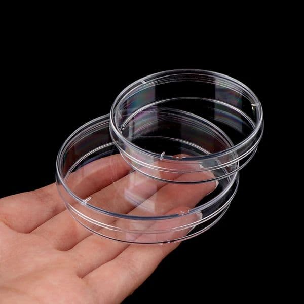 10pieces/pack Lab 55mm 70mm Disposable Plastic Petri Dish Laboratory Equipment Culture Dish