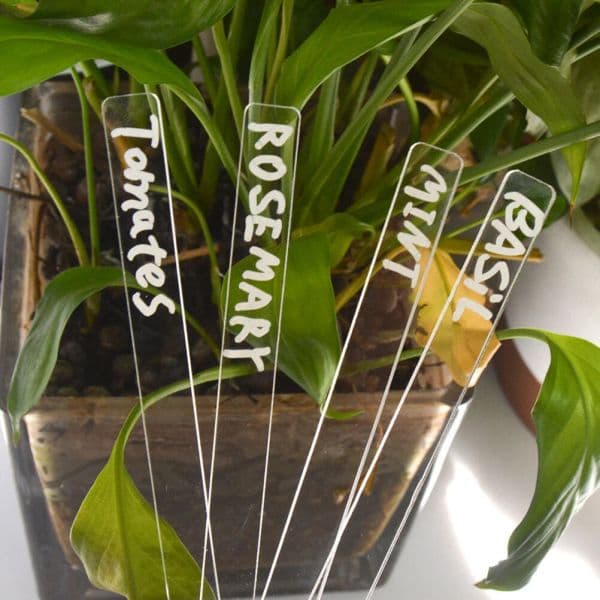 Pcs Succulent Indoor Pots Tag Acrylic Vegetable Category Potted Label Tags Plastic Planter Distinguish Labels Flowers 5