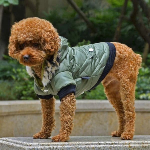 Dog Hooded Jacket Warm Winter Coat Snowsuit Waterproof Windproof Cold Weather Cat Apparel Cozy for Home Outdoor Walking