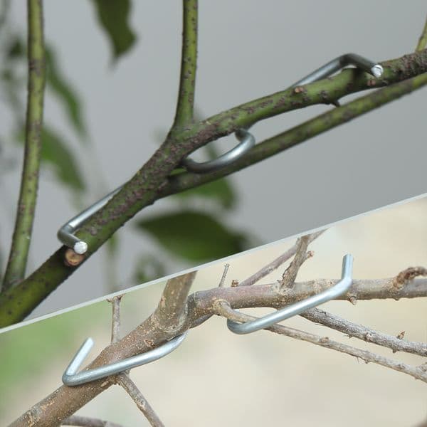 10Pcs 8/10/13/18cm M Type Fruit Tree Branches Holder Plant Support Metal Puller Tying Machine Finalizer Gardening Planters Tool